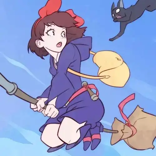 海狮伙伴